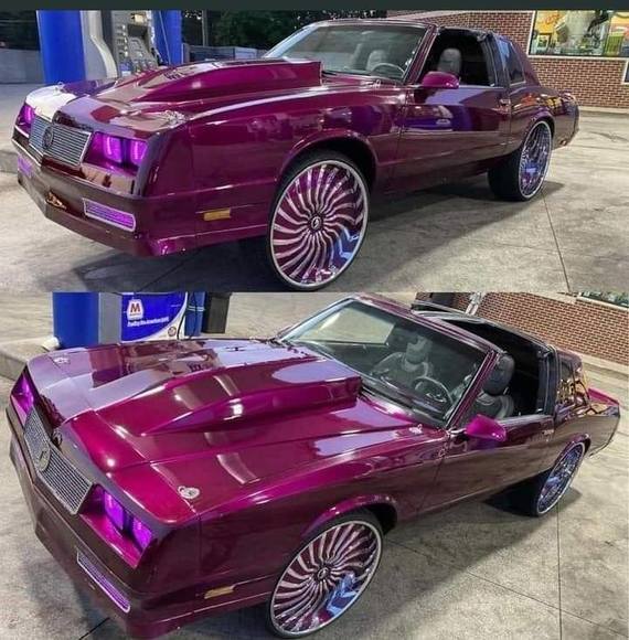 Meet your Posher, Patrick - Picture 1 of 1